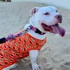 cristal_thebully