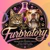 thefancygroomer