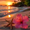 hhawaii5_0