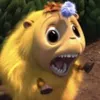 tana.xxo