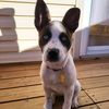 maggiemayhem22