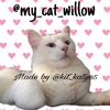 my_cat_willow