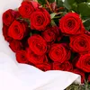 _anastassiya_1