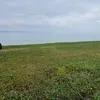 mapege000