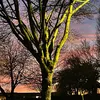 emiliemckay123