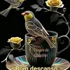 alarodrigues7