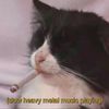 mometalhead