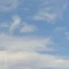 drishtixo