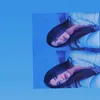 tatianamontm