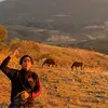 yayosofian