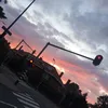 jildouguestx