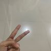 pecintahewanterbang