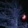 vampirmike_002