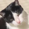 gggccccmmm