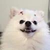larissassix
