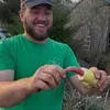 masontriplehorn