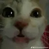 bsbsjsjsd