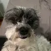 dfjomwlh