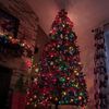 christmasnic