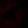 diino_saur
