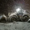 caterpillara972
