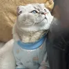 mvltuysl
