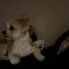 joeyykr