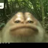 mankanbliargibland
