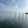 letexar
