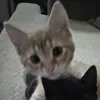 so_sophie14
