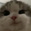 jiannana