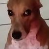 pinketp