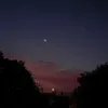 rodenamohamed_