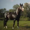 justwinninstud