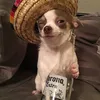 spxrro