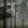 laurensheridan_