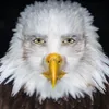 ericshun2