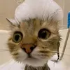 kliimkaaa