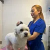 suvet.esteticaanimal