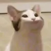 krvgrx