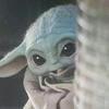 bb.yoda.2