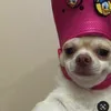 alexiscampos21