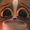 bashmunnie