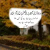 shoaibdogar