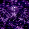 velocity_274