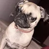 sandravargas31