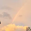 admiring