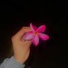 its_anysuarez