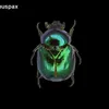 seren0202