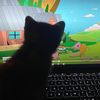 moch1mango